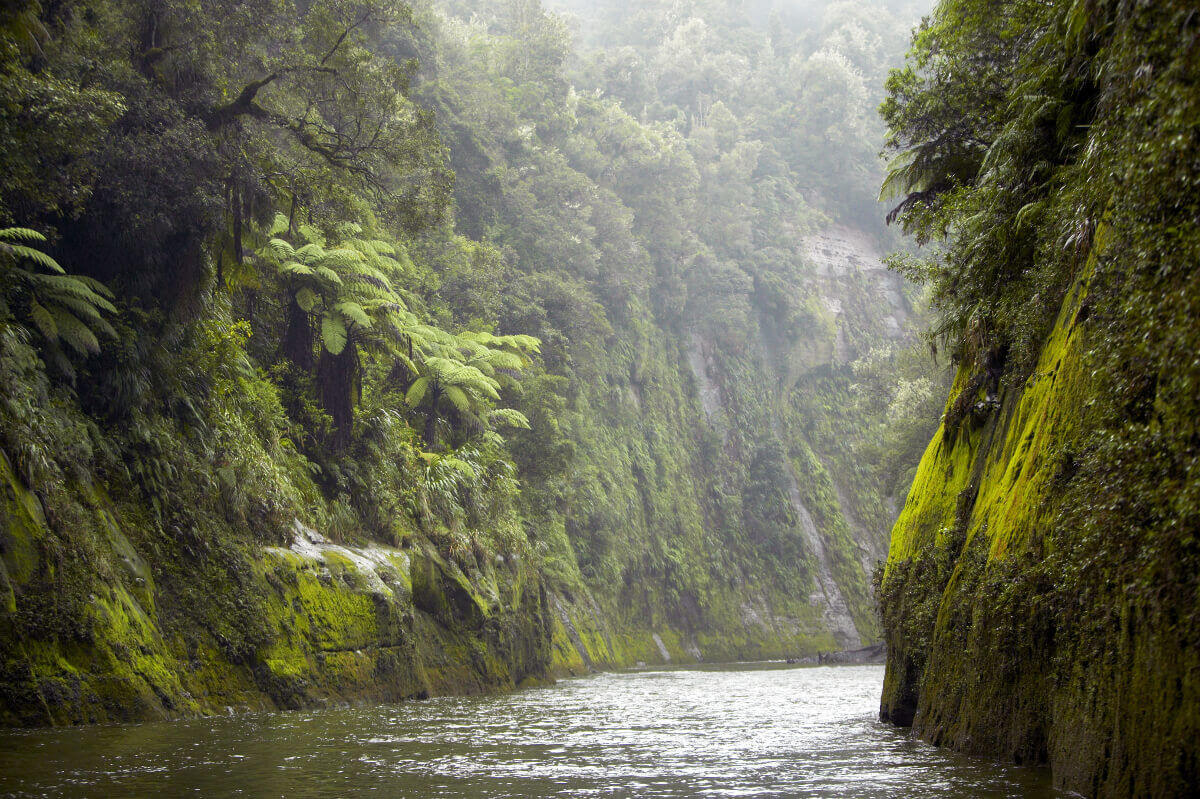 Whanaganui River